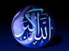 تسجيل نصف مليون عينة لأصول اجناس نباتية