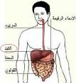 التهاب الكبد الوبائي "سي" يزيد خطر سرطان الكلى