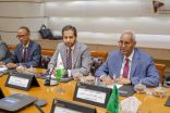 جيبوتي تدعو السعوديين للاستثمار في أكبر منطقة تجارة حرة بأفريقيا