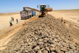 شركة حفر صينية تساهم في تحويل صحراء مصر إلى أراض زراعية