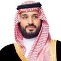 بأمر ولي العهد السعودية تأسيس 5 شركات استثمارية إقليمية في عدد من الدول العربية