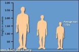 دراسة تكشف كيف تغير طول الإنسان عبر التاريخ