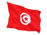 انتخاب تونس عضواً غير دائم بمجلس الأمن