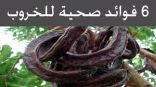 مشروب الخروب الساخن بديلاً للكاكاو