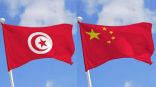 خبراء صينيون يعثرون على موقع أثري في جنوب تونس العاصمة