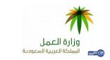 مسارات برنامج “تعليم وعمل” تؤهل 3443 طالبة للسوق في المحاسبة والإدارة